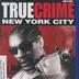 True Crime: New York City (dt. Version)