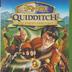 Harry Potter: Quidditch-Weltmeisterschaft